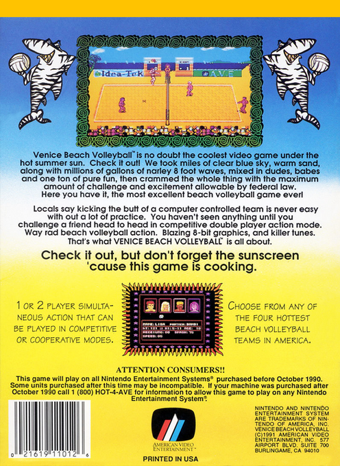 Venice Beach Volleyball (Homebrew) — Box back